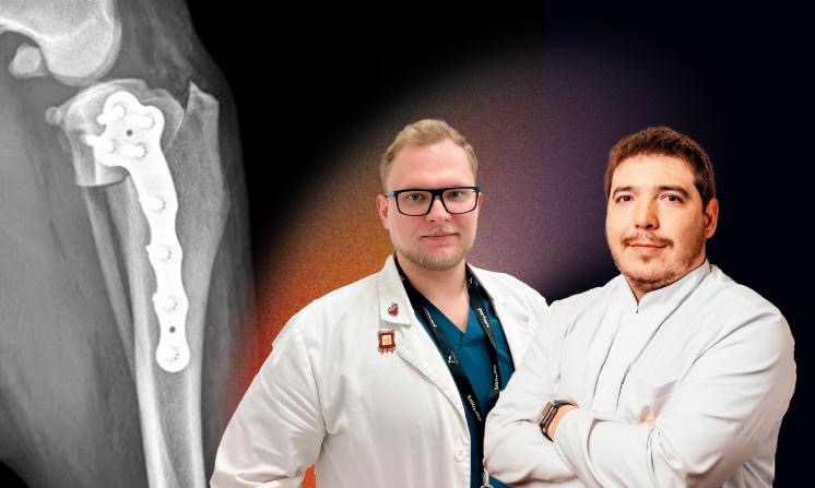 ORTHOSCHOOL. Диагностика и лечение разрыва передней крестообразной связки. Полный курс + TPLO