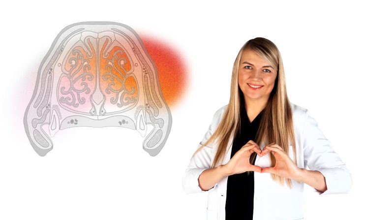 Эндоскопия. Исследование носа и добавочных пазух, гортани, трахеи и бронхов, наружного и среднего уха